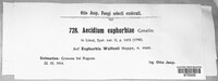 Image Associated With the Occurrence